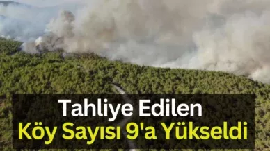 Bir baslik ekleyin 78