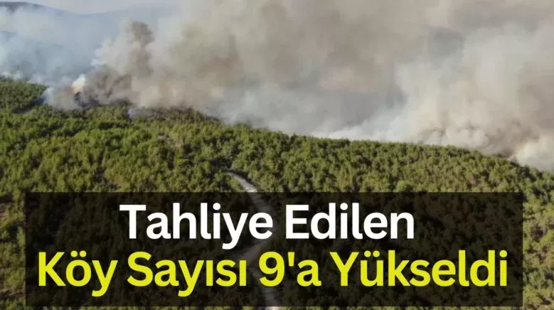 Bir baslik ekleyin 78