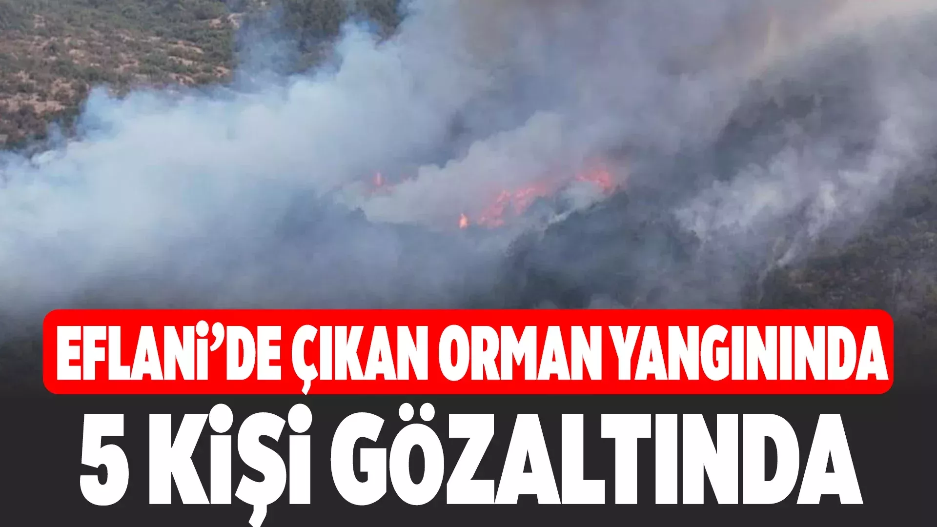 YESIL 1