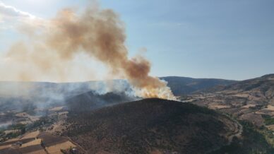 agaclik alandan yukselen dumanlar kilometrelerce uzaktan goruldu JE4d7REi