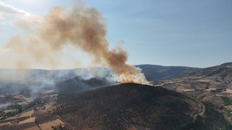 agaclik alandan yukselen dumanlar kilometrelerce uzaktan goruldu JE4d7REi