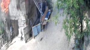 ahsap evde baslayip ormanlik alana sicrayan yanginin guvenlik kamerasi goruntuleri ortaya cikti 1T2vXZ1e