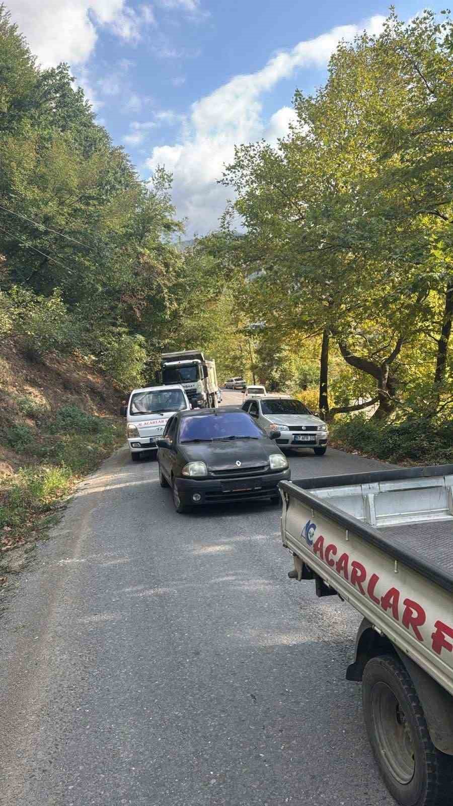 alaplida yola devrilen agac vatandaslar tarafindan kaldirildi CLTuGkNL