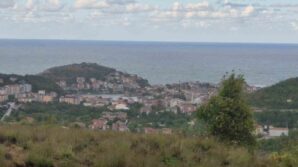 amasrada denizin rengi degisti WjB5uwpy