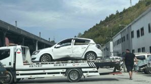 araca giren ari kazaya yol acti 2 yarali wvwZGDCL