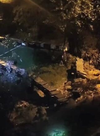 artvinin borcka ilcesinde ari kovanlari gece sel sulari ve heyelana kapildi ffg1YXtH