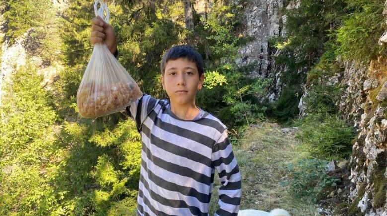 artvinli minik eymen hafta sonlari cam sakizi toplayarak kilosunu 5 bin liraya satiyor 9rjx8RRN