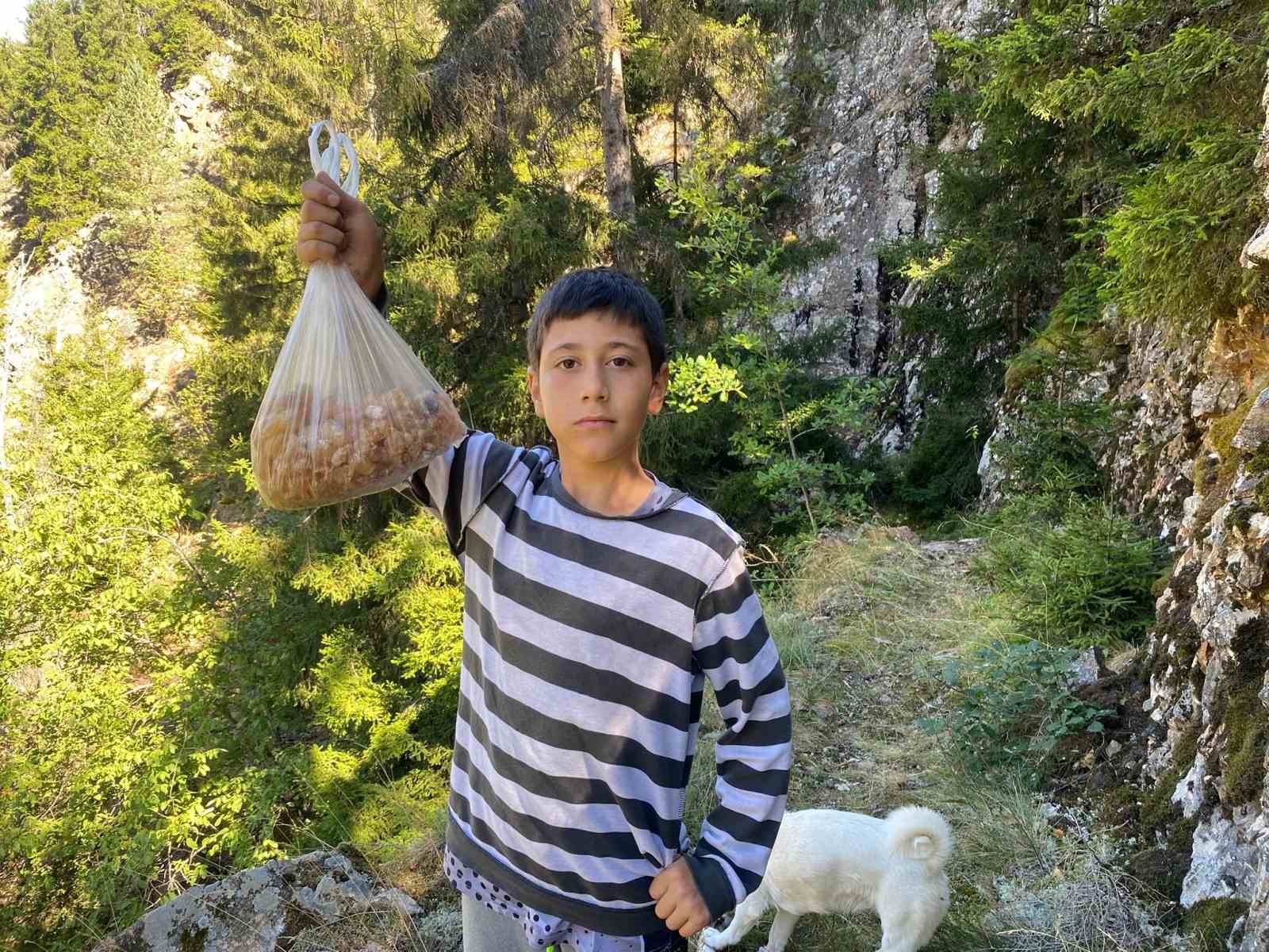 artvinli minik eymen hafta sonlari cam sakizi toplayarak kilosunu 5 bin liraya satiyor