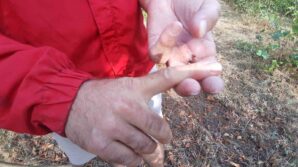 ayinin saldirisina ugrayan ciftci dehset anlarini anlatti parmagimi kopardi HA2gAts5