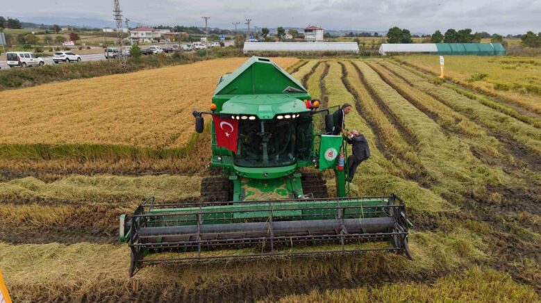 bafra ovasinda celtik hasadi basladi FVMnrSzm