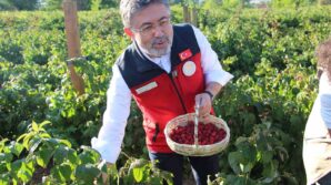 bakan ibrahim yumakli genclerin katkisiyla uretim hiz kazaniyor 8kEIj9bx