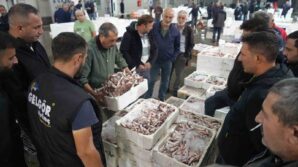 balik mezadinda hareketlilik kasalar dolusu baliklar kapisildi tknQYBQ7