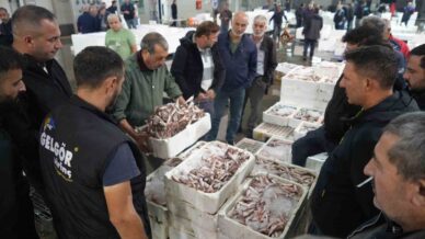 balik mezadinda hareketlilik kasalar dolusu baliklar kapisildi tknQYBQ7