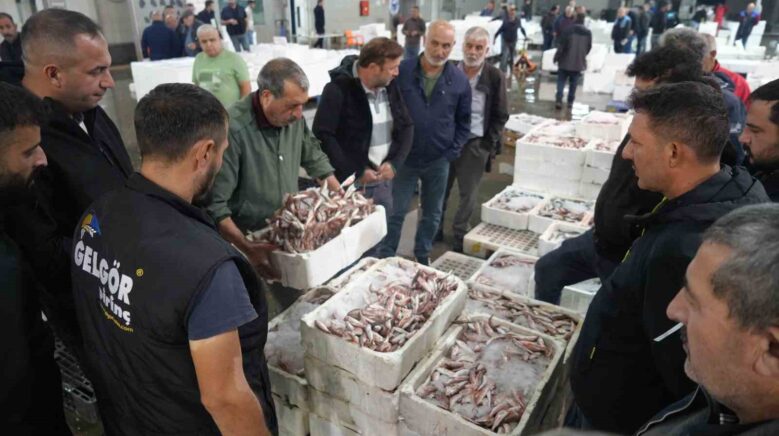 balik mezadinda hareketlilik kasalar dolusu baliklar kapisildi tknQYBQ7