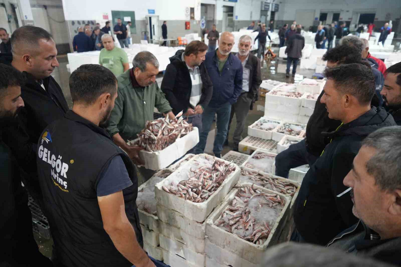balik mezadinda hareketlilik kasalar dolusu baliklar kapisildi tknQYBQ7