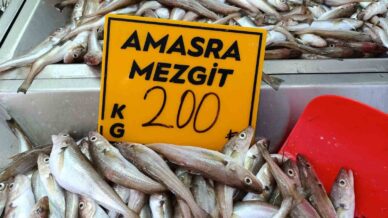 balikcilar palamut icin kestane karasini bekliyor 4iIbcpGd