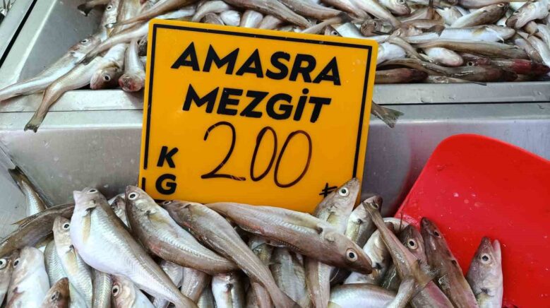 balikcilar palamut icin kestane karasini bekliyor 4iIbcpGd