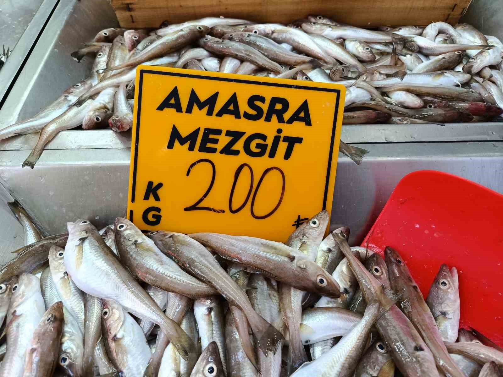 balikcilar palamut icin kestane karasini bekliyor 4iIbcpGd