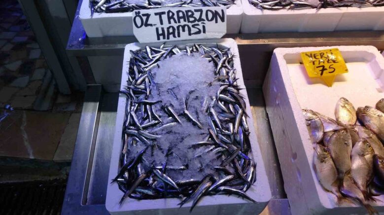 balikcilarda erken gelen hamsinin turk karasularini erken terk edecegi endisesi jmemH6nC