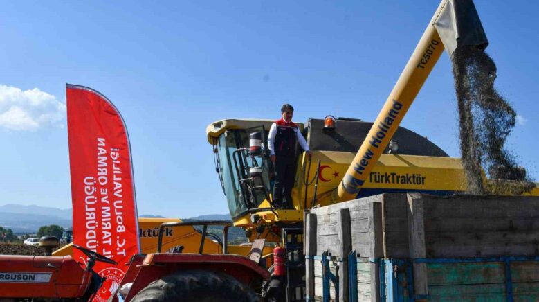 boluda 23 bin 500 dekarda aycicek hasadi basladi VKX35QTu