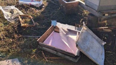 boluda ac kalan ayi ari kovanlarini parcaladi pWNLiMdl