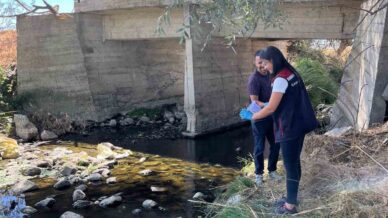 boluda patates tarlalari icin sulama sularindan numune alindi IsBJJqzw