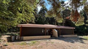 bolunun gozdesi golcukte yenileme calismalari WaeS8csV