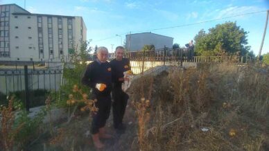 caya dusen engelli kediyi itfaiye kurtardi nbNyQ5FK