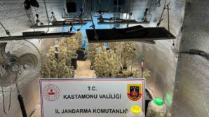 ciftlik evlerini kenevir yetistiren saniklar tahliye edildi NBnbVUCd