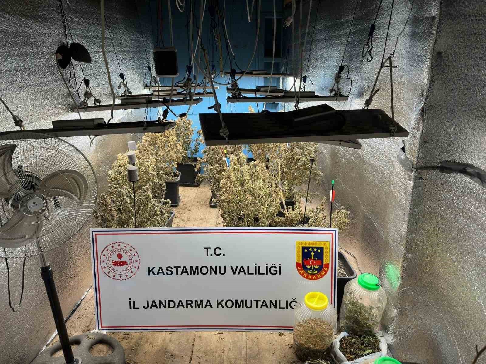 ciftlik evlerini kenevir yetistiren saniklar tahliye edildi NBnbVUCd