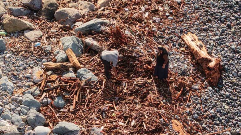 derelerin karadenize tasidigi agac kutugu ve odunlar rizelilerin kislik yakacagi oldu IUBsf6c1