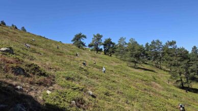 doganin sifa kaynagi likarpa gumushanede senlige donustu Jxz6pBuz