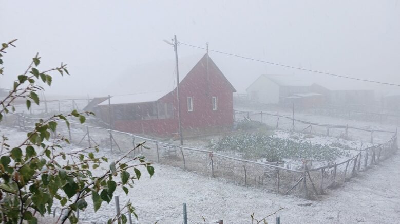 dogu karadenizin sahili ve ic kesimlerindeki siddetli yagis yerini zirvelerde kara birakti NG61z6RC