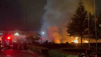 duzcede ahsap fabrikasinin bahcesinde yangin 5SR6VrS4