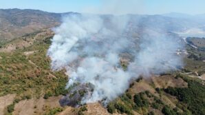 duzcede orman yangini SuQ5Mtuw