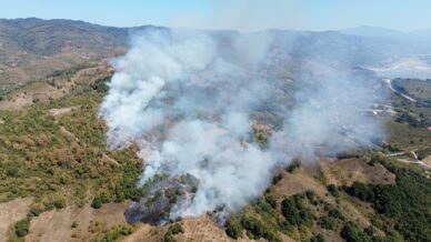 duzcede orman yangini SuQ5Mtuw