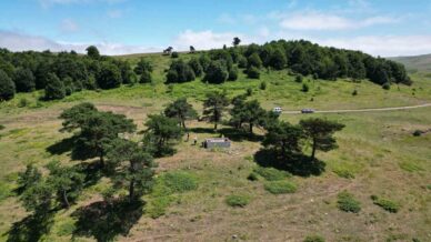 gercek mi rivayet mi bilen yok 6 asirdir ziyaretcilerini agirliyor HpJ1fDTI