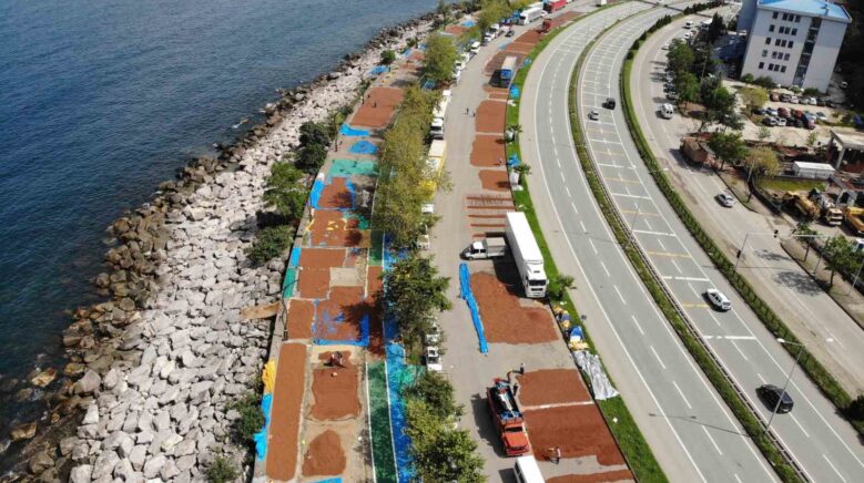 giresunda findik hasadinin ardindan ureticilerin kurutma mesaisi suruyor faJfyTJp