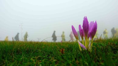 gumushanede 130 dagci cetluce yaylasinda sis ve yagmur altinda yurudu lYfbIyZT