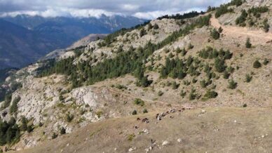 gumushanede genc muhtarin turkiyeye ilham veren basari hikayesi WUpdljrZ