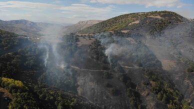 gumushanedeki orman yangininda 30 hektar alan kule dondu RHxVYgFj