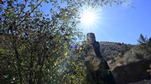 gumushanenin dikenli gulu kusburnu zahmetli yolculukla sofraya geliyor d6WBpX4r