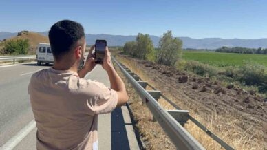 ilcenin simgesi olmustu agac koridorundan geriye kokleri kaldi b9lvDWyG