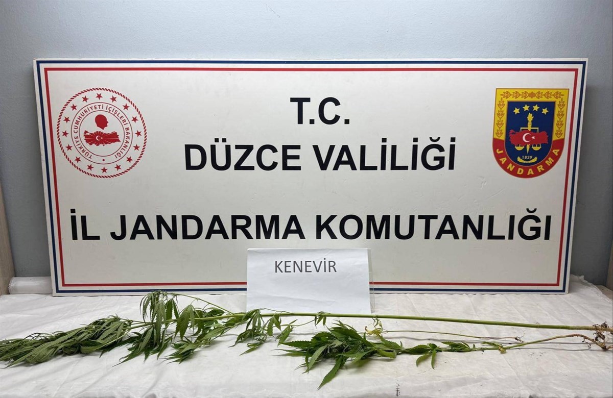 jandarmadan uyusturucu operasyonu BLA8vOi9