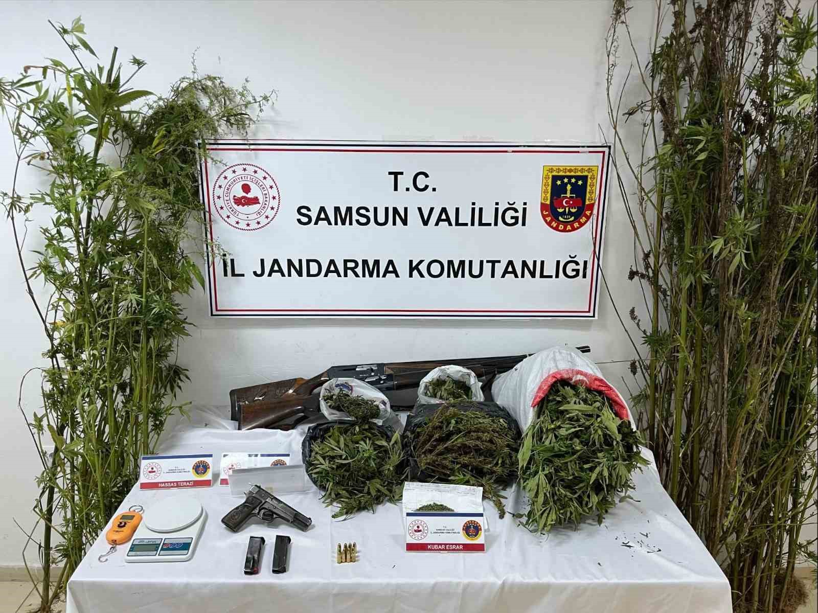 jandarmadan uyusturucu operasyonu esrar kenevir ve silah ele gecirildi UTEztSGs