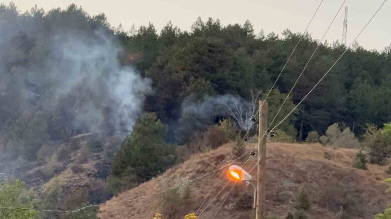 karabukte yangin 3 saatte kontrol altina alindi SIaBi2VC