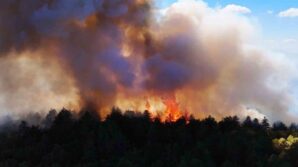 karabukteki yangin 48 saattir devam ediyor BycziS1p