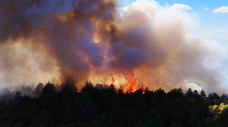 karabukteki yangin 48 saattir devam ediyor BycziS1p