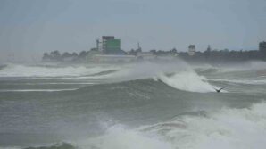 karadeniz hircinlasti qh1jVZBT