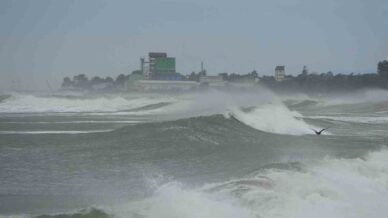 karadeniz hircinlasti qh1jVZBT